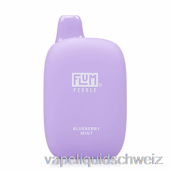 Flum Pebble 6000 Einweg Blueberry Mint Vape Schweiz